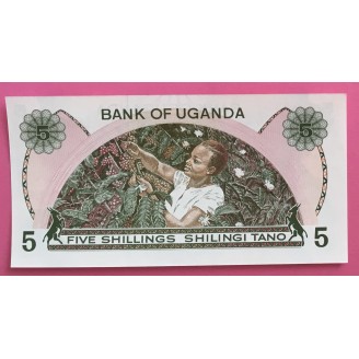 Ouganda 5 Shilling P.15...