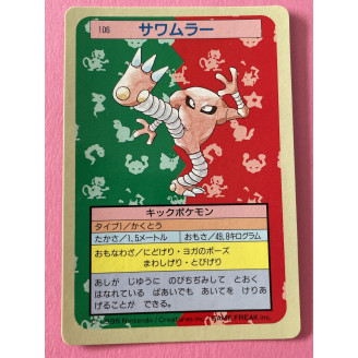 1995 Pokemon Topsun...