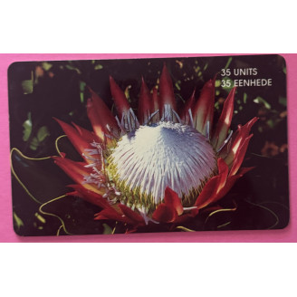 Afrique du Sud 35 UNITS...