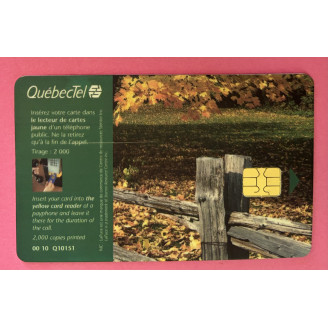 Canada 5$ Arbre automne...
