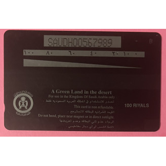 Arabie Saoudite 100 Riyals...