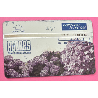 Açores 50 Units Vide Fleur...