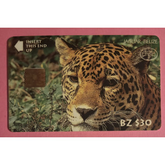 Belize BZ $30 Léopard nature
