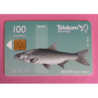 SLOVÉNIE télécarte 100 imp...