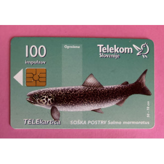SLOVÉNIE télécarte 100 imp...