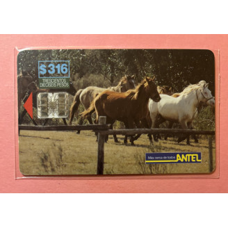 URUGUAY télécarte 316$...