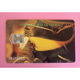 MADAGASCAR télécarte 25...