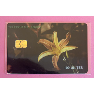 MADAGASCAR télécarte 100...