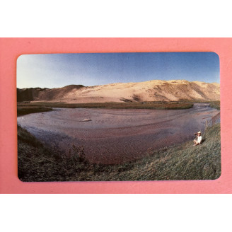 MONGOLIE télécarte 60 units...