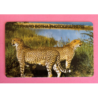 NAMIBIE télécarte N$10...