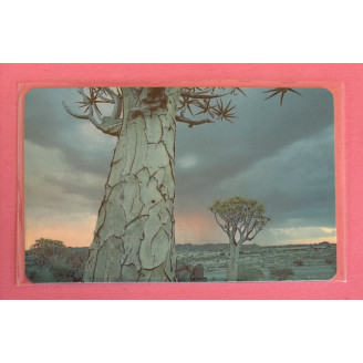 NAMIBIE télécarte N$50...