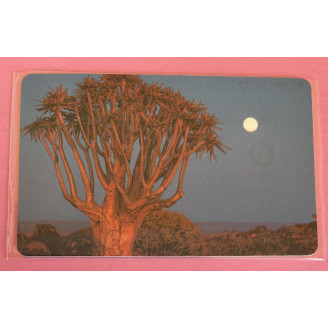 NAMIBIE télécarte N$10...