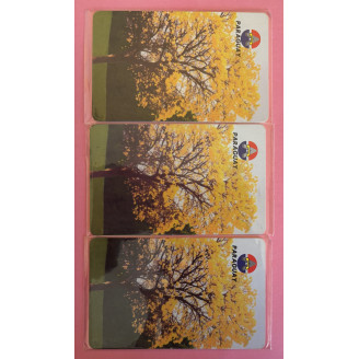 PARAGUAY télécarte 10,20 et...