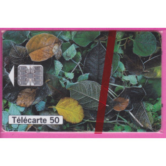 EN 1350 12/95 SC7 1749 EX...