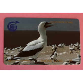 ILES ASCENSION 5 livres oiseau