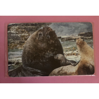 ILES FALKLAND télécarte £10...