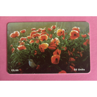 ILE DE MAN télécarte 55...