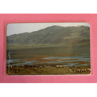 IRAN télécarte TCT nature