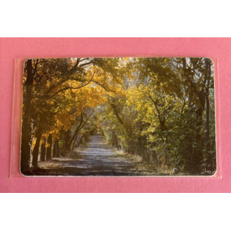 IRAN télécarte TCT  arbres,...