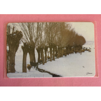 IRAN télécarte...