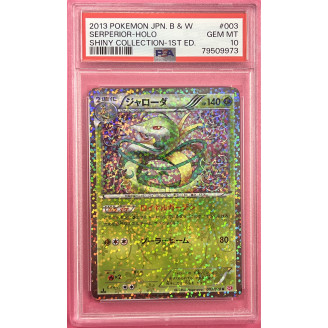 2013 Pokemon Japanese B and...