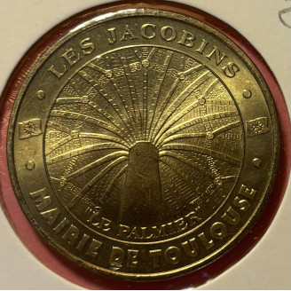 31 Toulouse, le palmier des...
