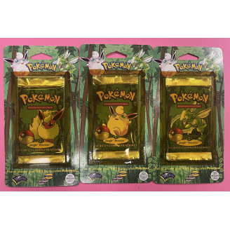 Artset blister Pokemon...